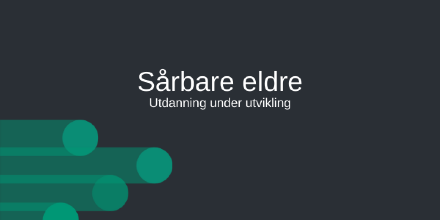 Sårbare eldre