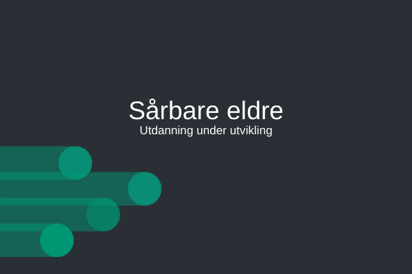 Sårbare eldre